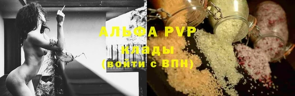 шишки Алзамай