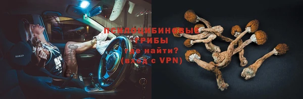 дурь Сосновоборск